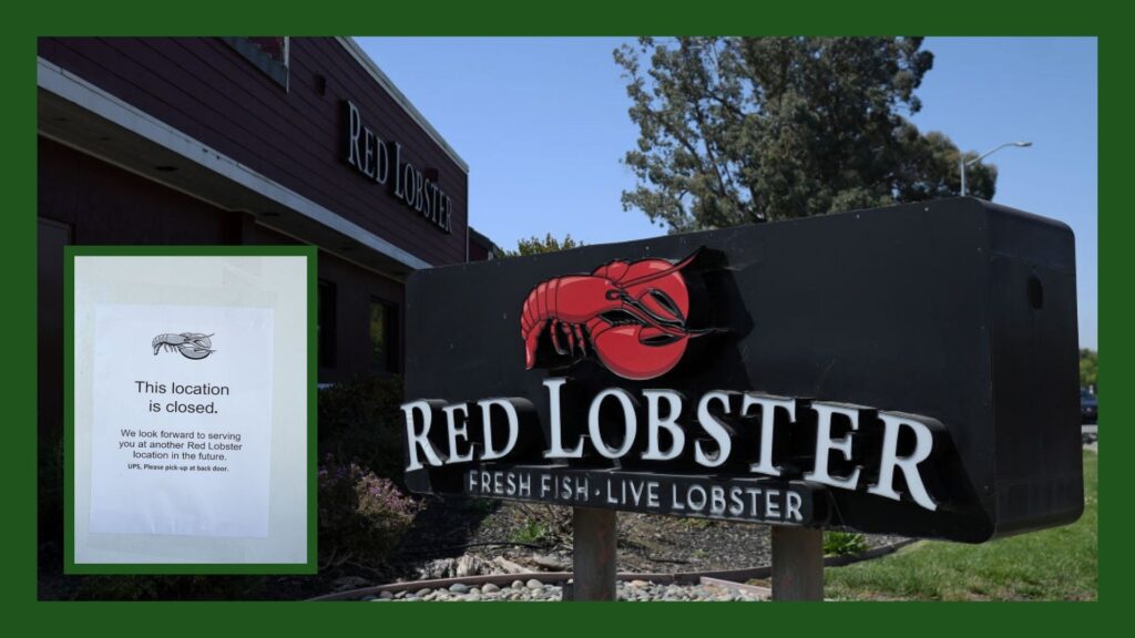 One Fifth of Red Lobster Locations are Gone Red Lobster Restaurant